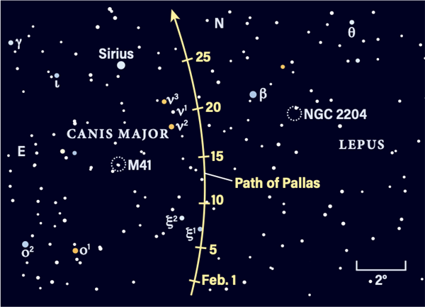 Path of Pallas in February 2023