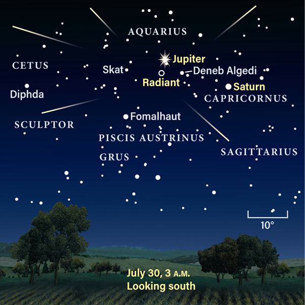 The Southern Delta Aquariids' radiant at peak in 2021