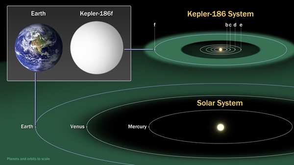 Kepler186system