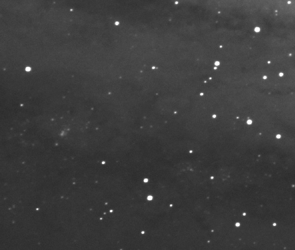 M313