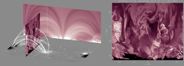 In this simulation of the Sun’s magnetic field, features that look like coronal loops (left) are formed from swirling sheets of plasma (right).