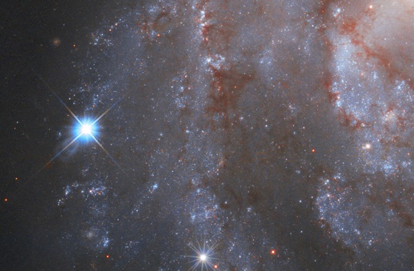 The bright supernova SN 2018gv explodes in the spiral galaxy NGC 2525 in this Hubble Space Telescope image.