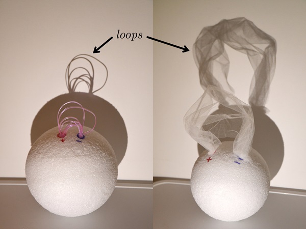 These physical models demonstrate the difference between the traditional description of coronal loops as strands of plasma (left) and the new, proposed explanation that they are wrinkles in a plasma veil (right).