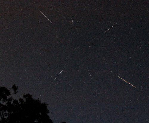 Perseid meteors in 2005