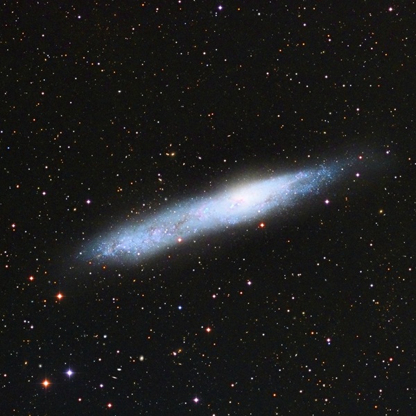 Southern Cigar Galaxy (NGC 55)