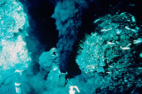 Black smokers are hydrothermal vents that expel extremely hot, mineral-rich water. Many of these vents are hosts to thriving communities of life.
W.R. Normark/Dudley Foster/Wikimedia Commons