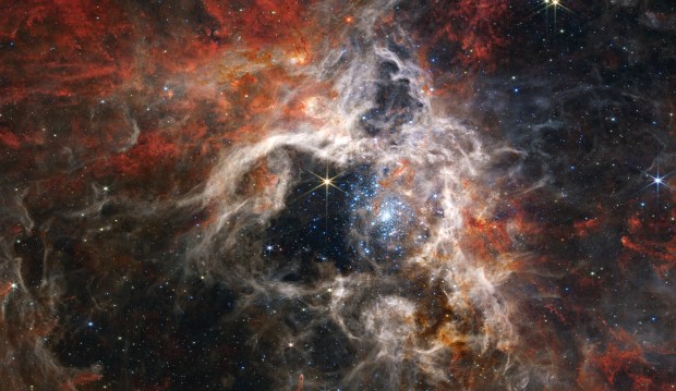 arantula Nebula (NIRCam Image)