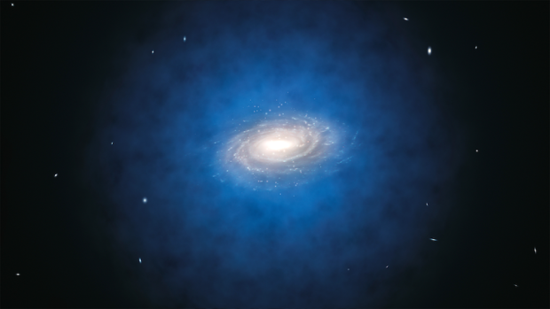 Galaxy dark matter halo
