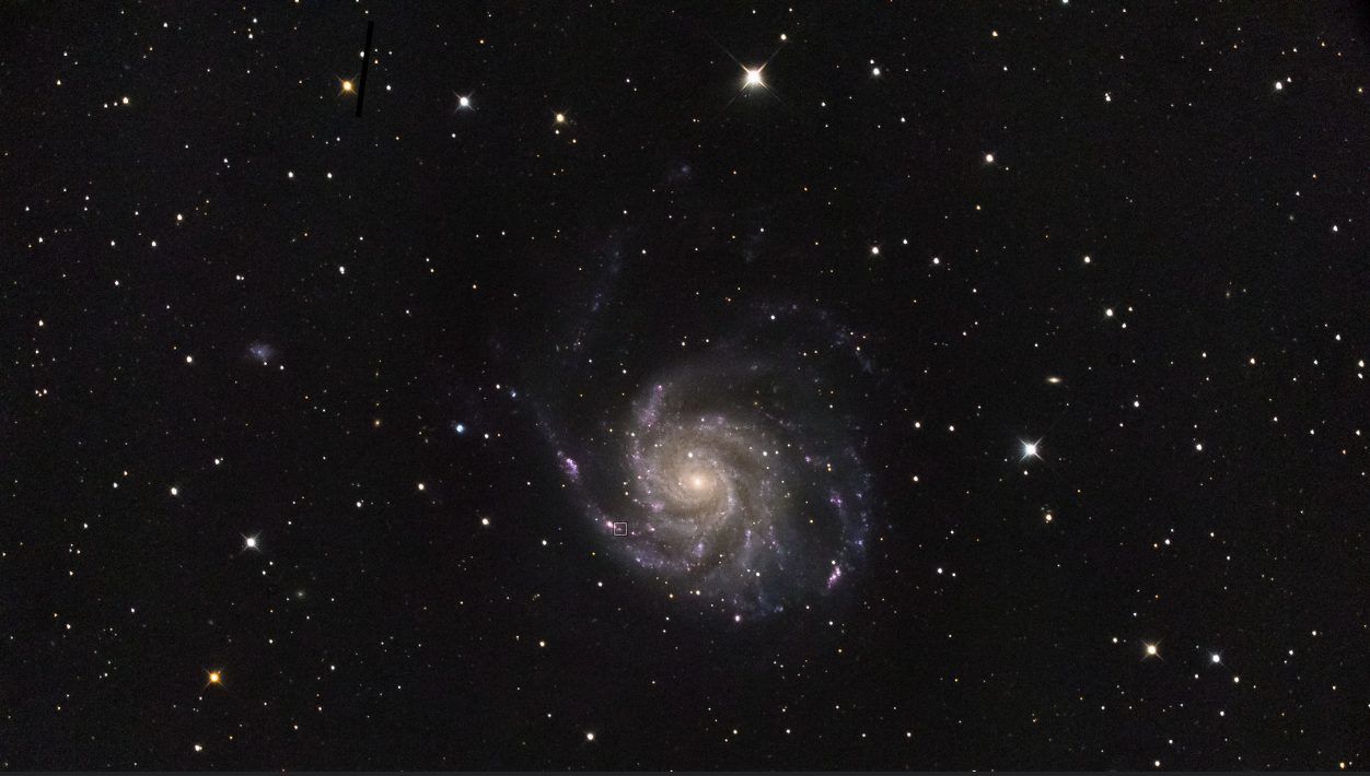 M101