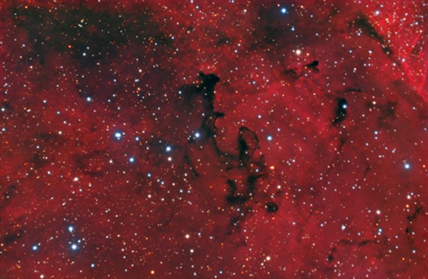 Lynds Dark Nebula