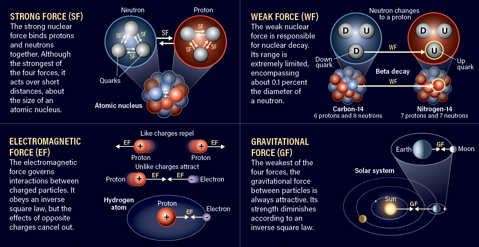 The fundamental forces
