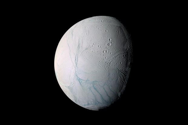 Enceladus, in a mosaic taken by the Cassini spacecraft. Credit: NASA/JPL/Space Science Institute