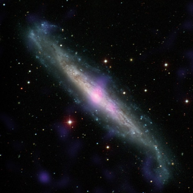 Galaxy NGC 1448 with active galactic nucleus