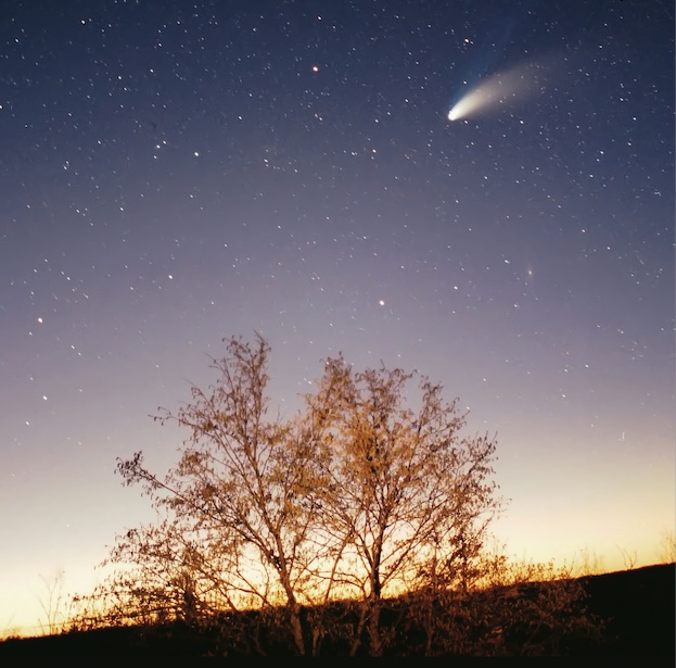 Comet Hale-Bopp was the most observed comet in history - by far. Credit: Philipp Salzgeber/Wikimedia Commons