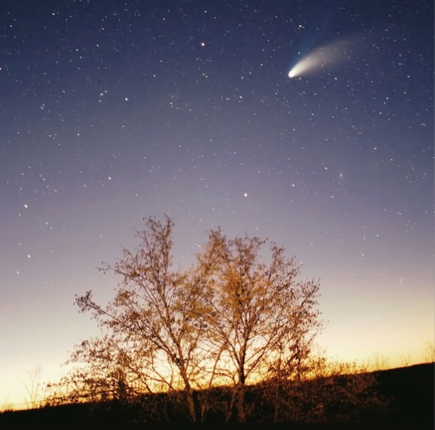 Comet Hale-Bopp was the most observed comet in history - by far. Credit: Philipp Salzgeber/Wikimedia Commons