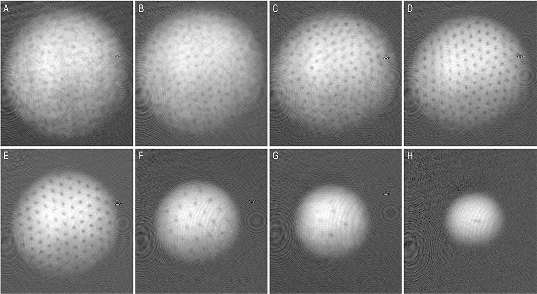 Superfluid vortices 