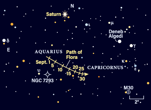 Path of Asteroid Flora in September 2023