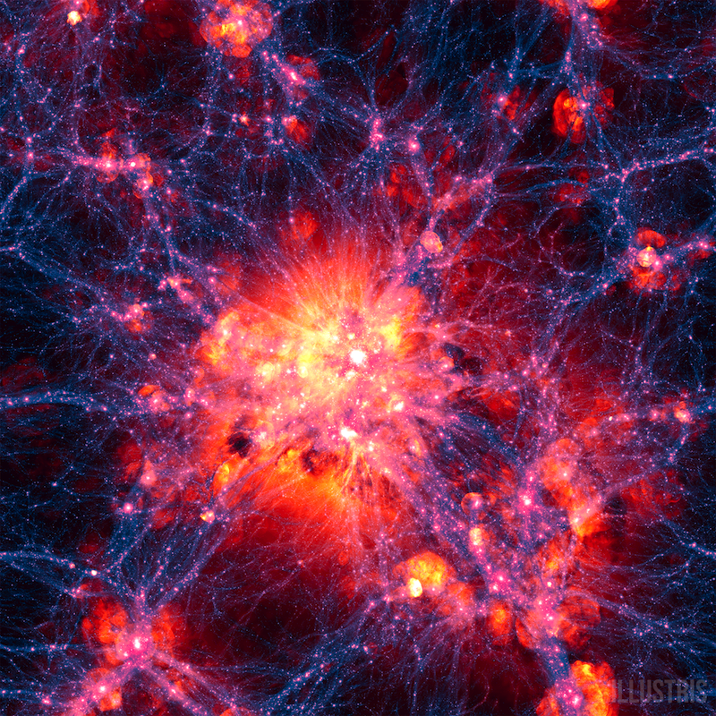 What is the cosmic web made of?