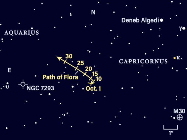 Path of asteroid Flora in October 2023