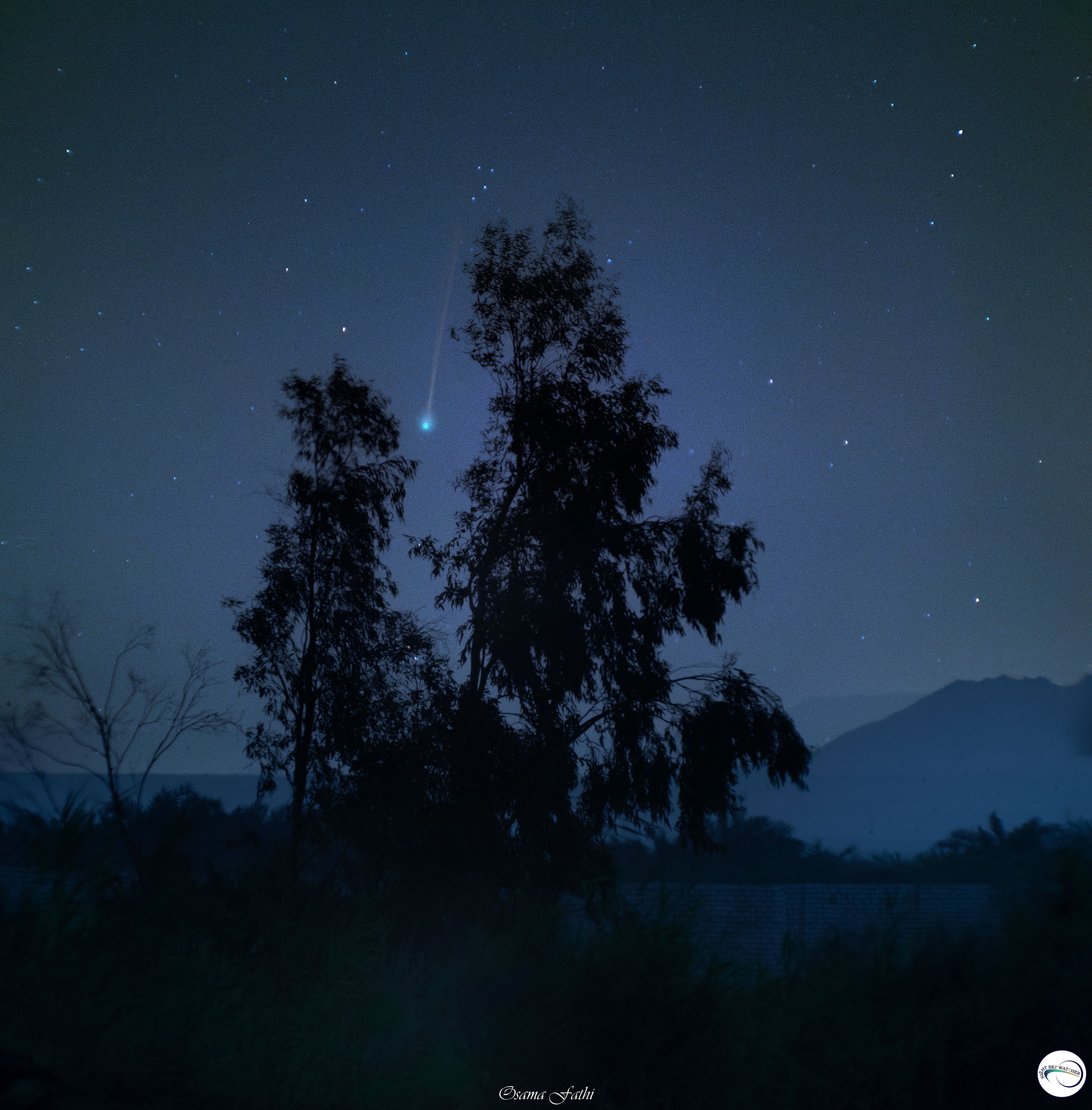 Comet Nishimura above the Black Desert, Egypt