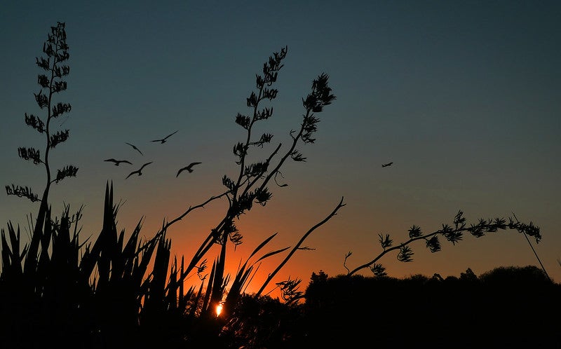 Sunset on the equinox