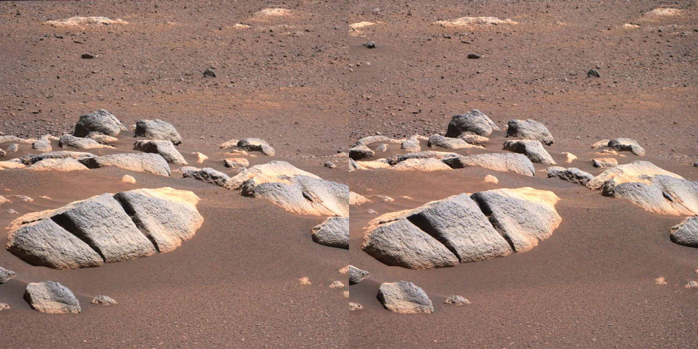 This elliptical rock shows two deep rifts that split the stone into three roughly equal parts.