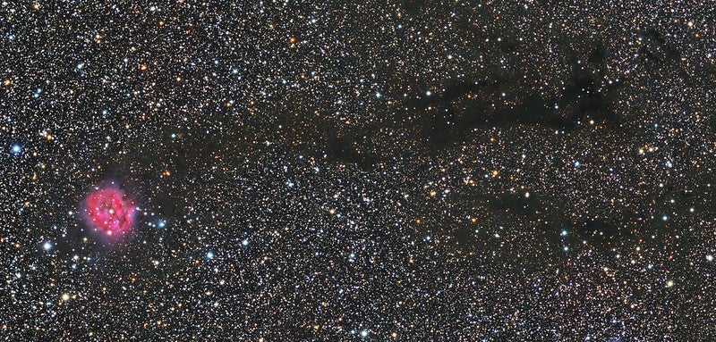 The Cocoon Nebula and the Dark Cigar Nebula