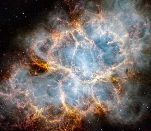 The Crab Nebula, imaged by the Webb’s NIRCam (Near-Infrared Camera) and MIRI (Mid-Infrared Instrument) Credit: NASA, ESA, CSA, STScI, Tea Temim (Princeton University)
