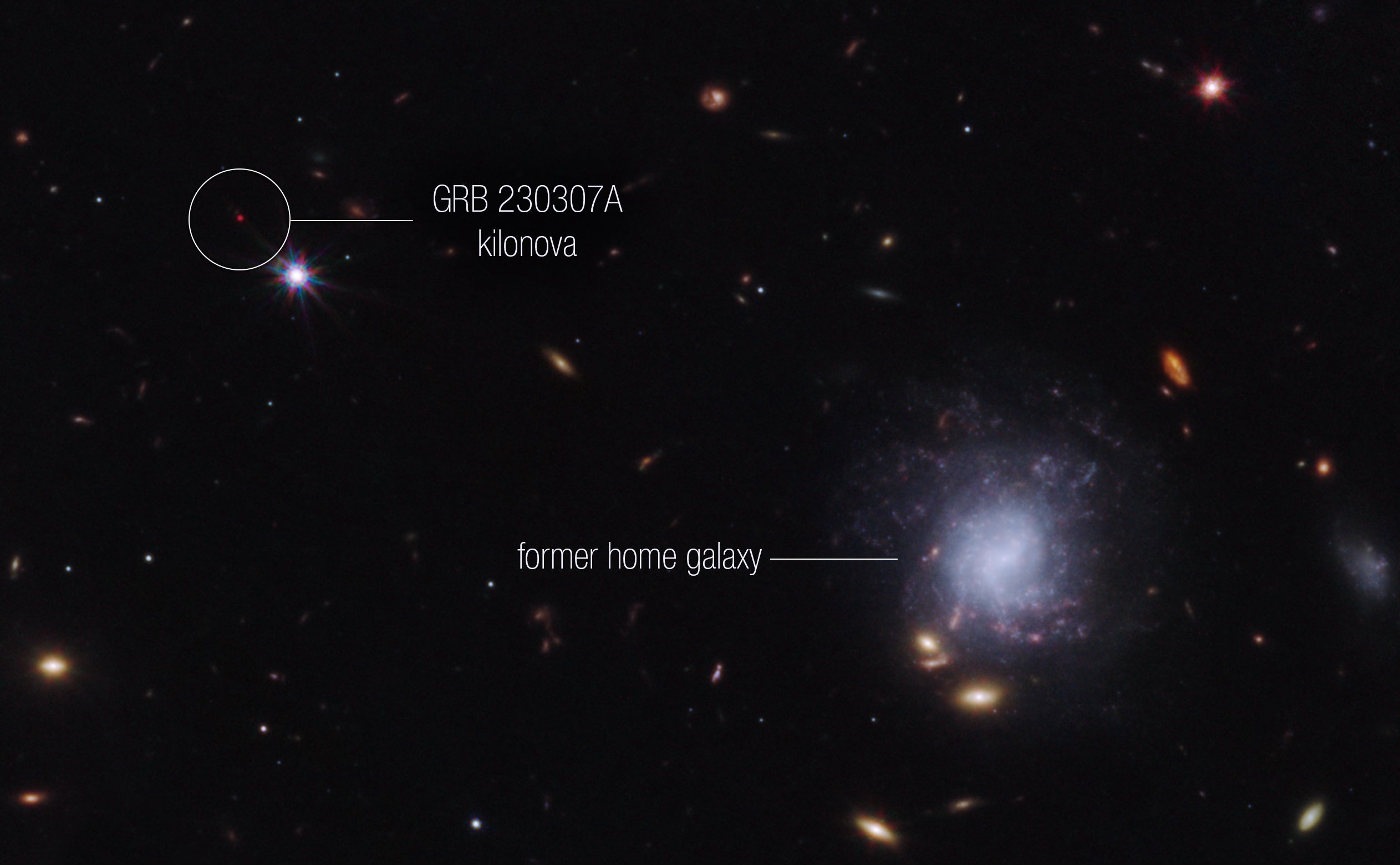 Scientists used NASA’s James Webb Space Telescope to observe an exceptionally bright gamma-ray burst, GRB 230307A, and its associated kilonova — an explosion produced by a neutron star merging with either a black hole or with another neutron star. Credit: NASA, ESA, CSA, STScI, Andrew Levan (IMAPP, Warw)