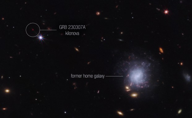 Scientists used NASA’s James Webb Space Telescope to observe an exceptionally bright gamma-ray burst, GRB 230307A, and its associated kilonova — an explosion produced by a neutron star merging with either a black hole or with another neutron star. Credit: NASA, ESA, CSA, STScI, Andrew Levan (IMAPP, Warw)
