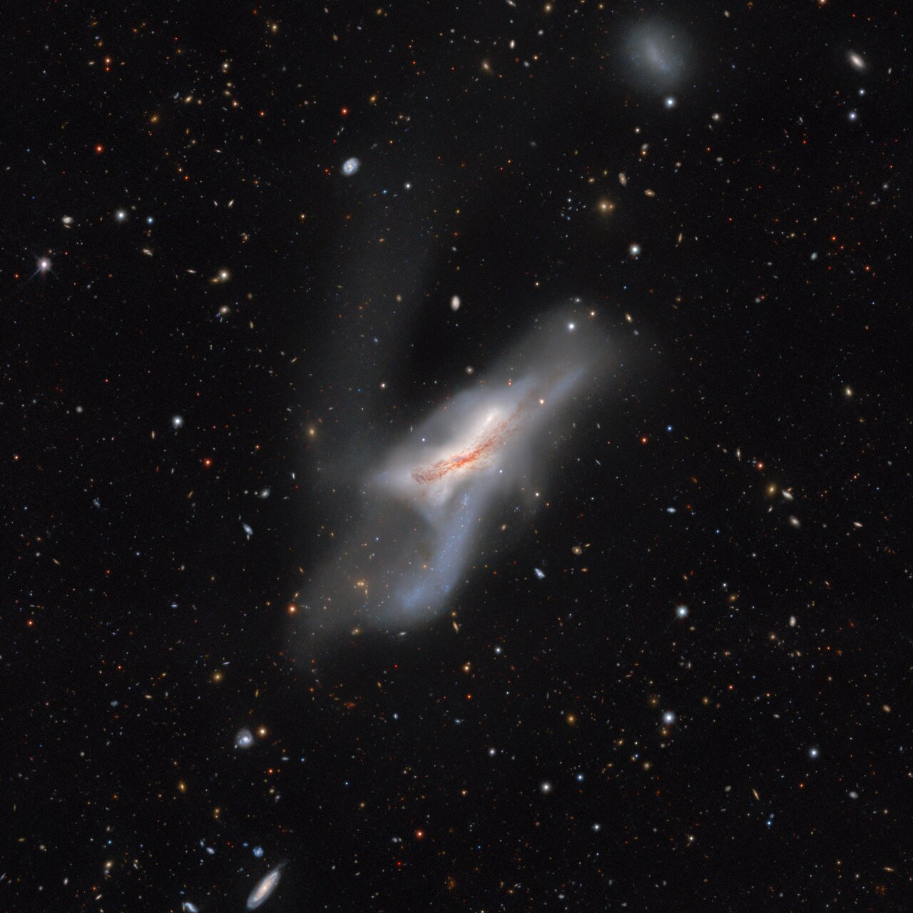 A galactic collision of two galaxies which began more than 300 million years ago, NGC 520 is actually made up of two disk galaxies which will eventually merge together to form one larger, more massive system. NGC 520 was discovered by William Herschel in 1784 and is one of the largest and brightest galaxies in the Siena Galaxy Atlas.