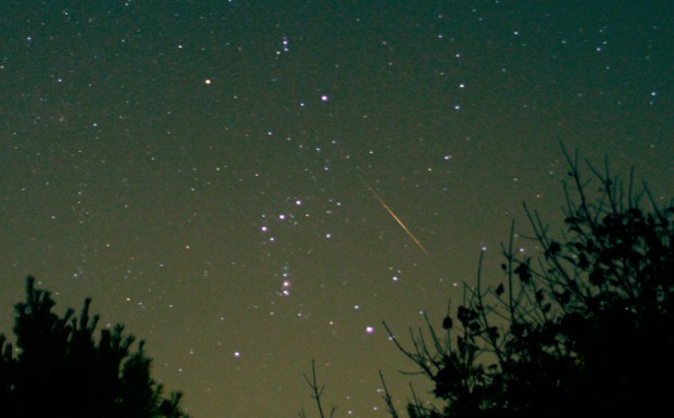 Orionid meteor