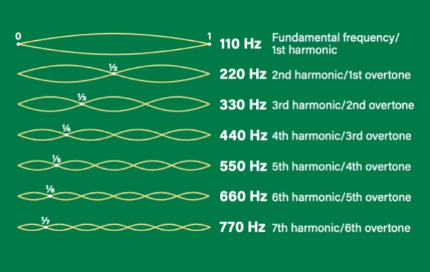 This illustration shows how a string that is anchored at both ends (such as on a guitar) resonates when plucked. Not only does the entire string vibrate at the fundamental frequency, but also in halves, thirds, and so on, creating overtones. Here, the first seven harmonics are shown, based on A as the fundamental. 