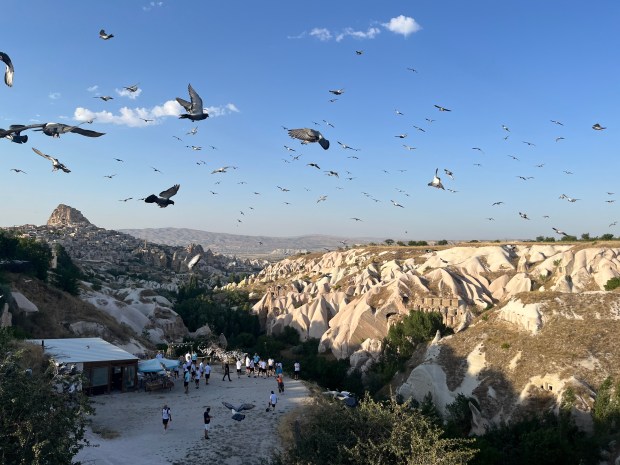 Dozens of pigeons take flight at the Pigeon Valley. In the background, you can see a portion of Cappadocia's valleys.