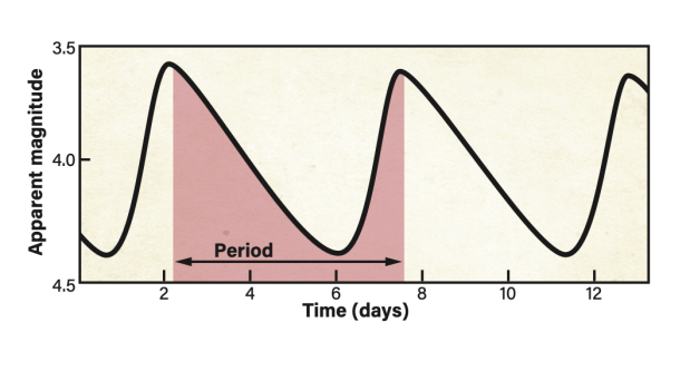 Delta (δ) Cephei is the prototype Cepheid variable. This light curve shows its apparent magnitude versus time.