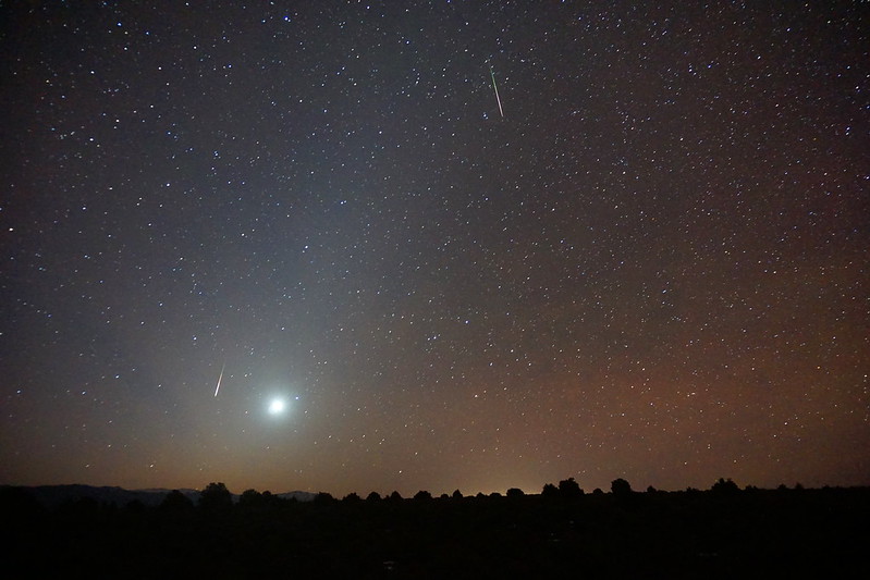 Leonid meteors and Venus