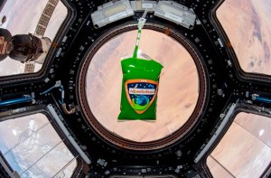 Slime is one of the unusual things launched into space. Credit: NASA.