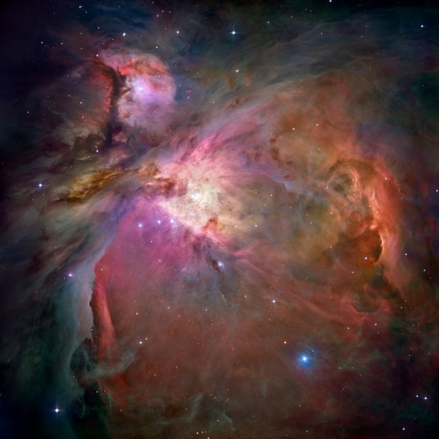 The solar nebula that birthed the Sun and its stellar siblings likely resembled the Orion Nebula. Credit: NASA,ESA, M. Robberto (Space Telescope Science Institute/ESA) and the Hubble Space Telescope Orion Treasury Project Team