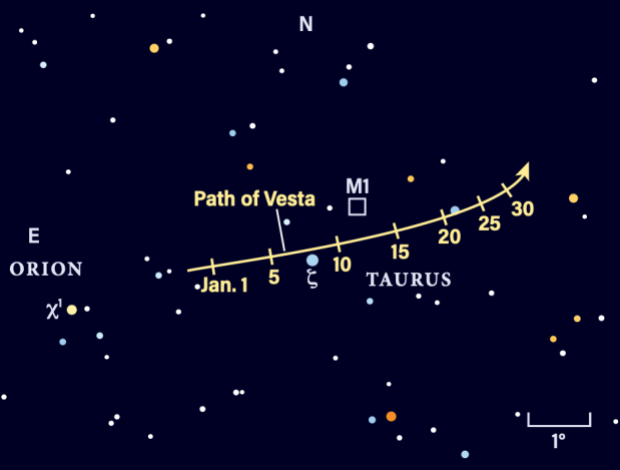 The Path of asteroid Vesta in January 2024