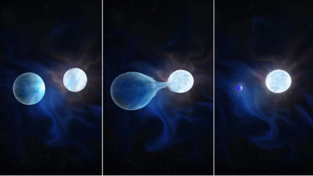 An artist's representation of a binary star stealing the hydrogen-rich envelope from its primary star. Credit: Navid Marvi, courtesy of the Carnegie Institution for Science
