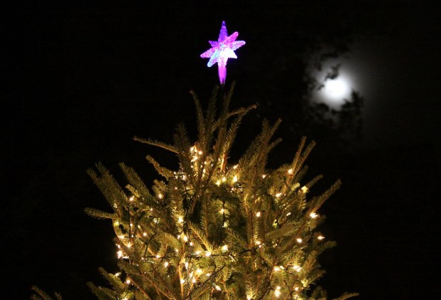 Full Moon above Christmas tree
