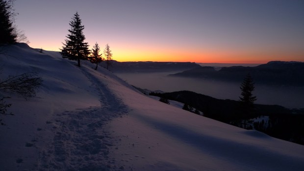 snowy landscape at twilight