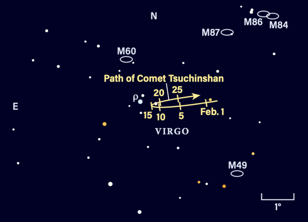 The path of Comet 62P/Tsuchinshan in February 2024