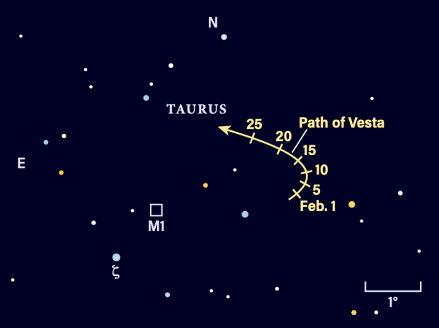 The path of Vesta in February 2024
