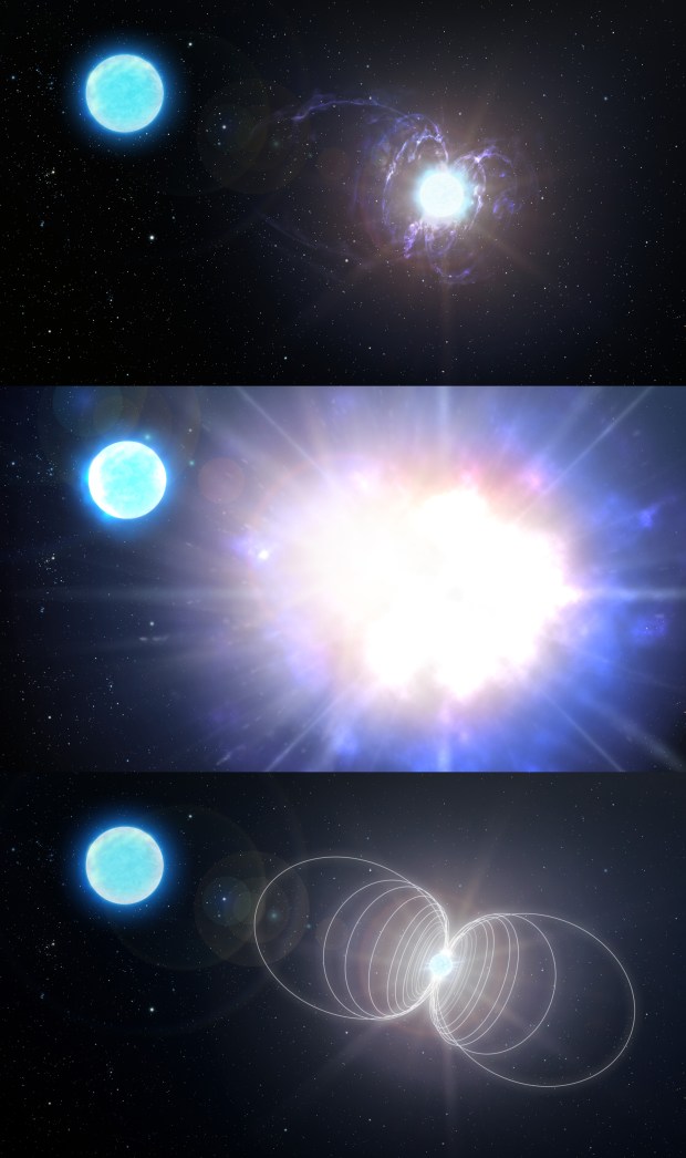 his three-panel illustration shows the HD 45166 system, which contains a massive Wolf-Rayet star with a powerful magnetic field (right) in a binary with a companion star (left). The top panel shows the system as it is today, while the middle shows the Wolf-Rayet star’s death in a supernova explosion. The blast will leave behind a highly magnetic neutron star (bottom) called a magnetar. 