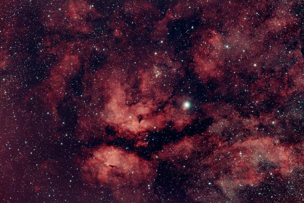 IC 1318 and NGC 6910