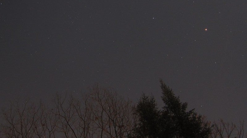 Planet Mars in the night sky near trees