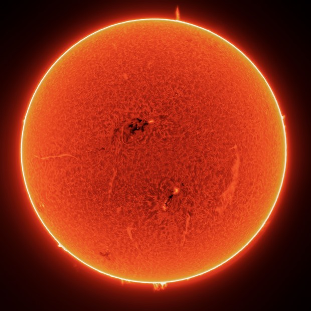 Against a pitch black background, the Sun glows as a bright orange disk speckled with darker regions of sunspots and bright filaments of gas snaking across its surface and off of its edges.