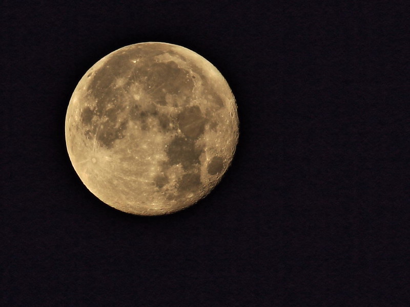 Full January Wolf Moon