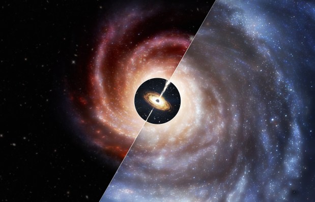 In this artist's conception, a black hole (center) is contained in a small host galaxy in the distant universe (left). In the nearby universe (right), the same sized black hole would be hosted in a much bigger galaxy. Credit: CfA/Melissa Weiss